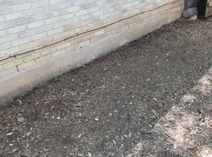 Leaf Removal by Daniel Mora for Erica S. in San Antonio, TX