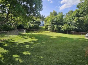 Caitlin B.'s Yard Cutting service result