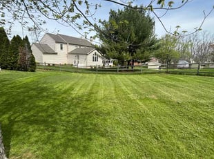 Nicole B.'s Yard Cutting service result