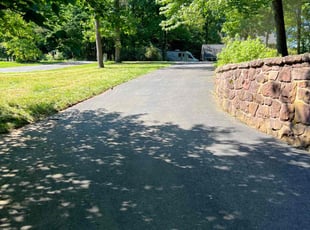 Anita M.'s Lawn Service service result