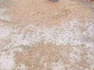 Cleanups by John Rausch for Janice C. in Milton, FL