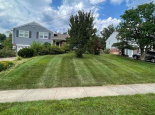 Austin B.'s Lawn Mowing service result