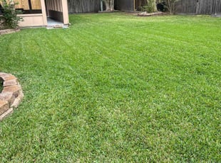 Jeremy L.'s Lawn Care service result