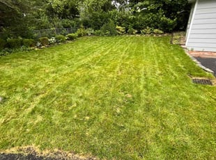 Cleanups by Nailan Ortiz for Eric J. in Montclair, NJ