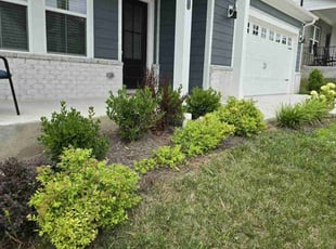 Weeding by Sammy Ferguson for Naveed K. in Nashville, TN