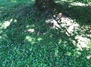 Cleanups by Robert Peters for Shanann S. in Cincinnati, OH