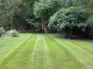 Cathy A.'s Lawn Mowing Service service result