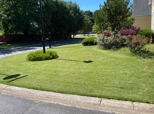 David H.'s Lawn Care service result