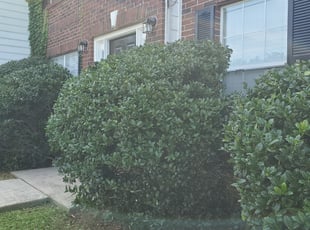 Bush Trimming by Zachary Smith for Jami B. in Decatur, GA