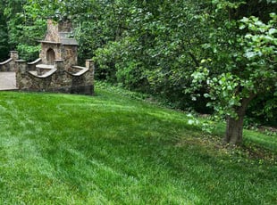 "Crystal B.'s Lawn Mowing service result