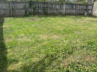 Cleanups by James Abernathy for Denise S. in Cincinnati, OH