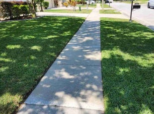 Marina I.'s Lawn Care service result