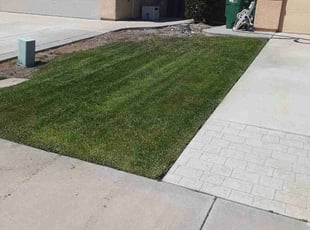 Bush Trimming by Juan gavino Barrera Rodriguez for Victor C. in Stockton, CA
