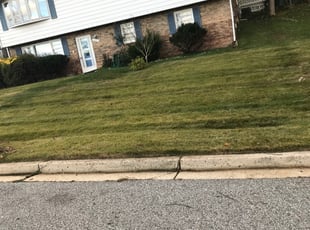 Leaf Removal by Elder E Larios for Sierra, L. in Fort Washington, MD