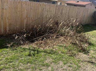 Bush Trimming by Christopher Delacerda for Casandra R. in San Antonio, TX