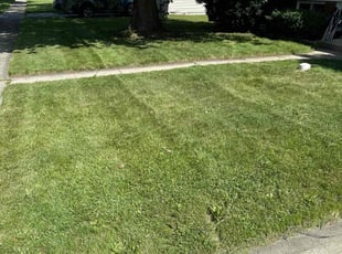 Wendell M.'s Lawn Service service result