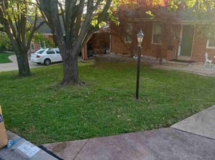 Leaf Removal by Nathan Leonard for Jill K. in Affton, MO