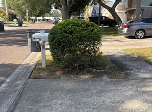 Bush Trimming by Robert Wynn for Matthew W. in Riverview, FL