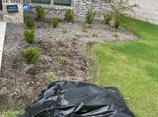 Weeding by Patrick Stewart for Val G. in Princeton, TX