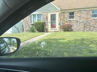 Bush Trimming by Nicholas Harvey for Joan f. in Elmont, NY