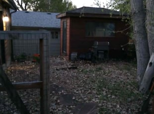 Leaf Removal by GREEN KEEE LLC for Dylan O. in Golden, CO
