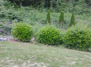 Weeding by Jordan Guerrero for James B. in Marietta, GA