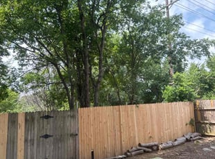 Bush Trimming by Rhett Lambas for Aubrie C. in Lewisville, TX