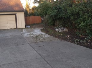 Cleanups by Brandon Young for Dani H. in Beaverton, OR
