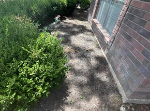 Weeding by Michael Brown for Jennifer S. in Spring, TX