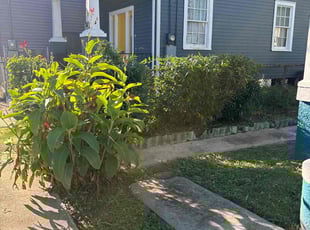 Bush Trimming by Akeem Lewis for Howard H. in New Orleans, LA