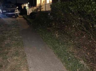 Bush Trimming by Landon Millett for Carol C. in Hendersonville, TN