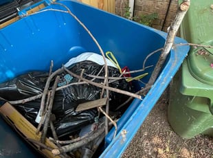 Cleanups by Eric Aguirre for Austin f. in Grapevine, TX