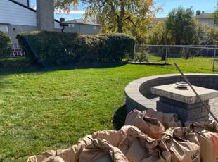 Leaf Removal by Valerie Glenn for Larry H. in Southfield, MI