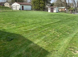 Robert T.'s Lawn Service service result