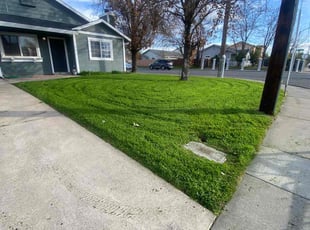 Melissa R.'s Lawn Care service result