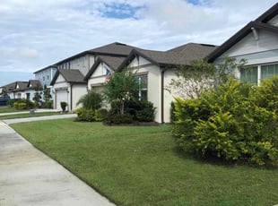 Esther G.'s Lawn Maintenance service result
