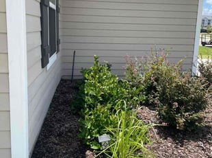 Weeding by Trace Valle for Janice P. in Palm Coast, FL