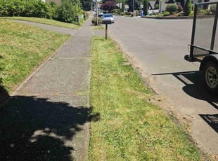 Lisa R.'s Lawn Maintenance service result