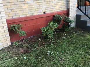 Bush Trimming by Bradley Taylor for Evan L. in Pittsburgh, PA