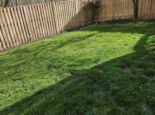 Keith G.'s Lawn Mowing Service service result