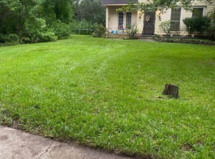 Shavon B.'s Lawn Service service result