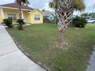 Scott S.'s Yard Cutting service result