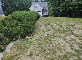 Bush Trimming by David Daye for Batetambie A. in Attleboro, MA