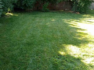 McKenzie S.'s Yard Cutting service result