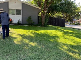 Bush Trimming by Alexander Flores for Shannon L. in Richardson, TX