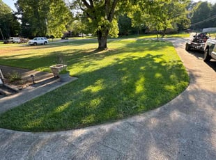 Son N.'s Lawn Mowing service result