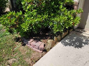 Weeding by Hugo Melgar for Travis P. in Richmond, TX
