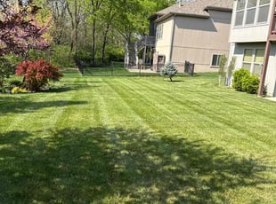Allison L.'s Lawn Maintenance service result