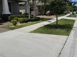 Weeding by William Chavers for Victoria C. in Riverview, FL