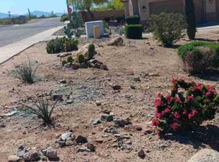 Bush Trimming by Jimmy & Brandi Alvarado for Atlas Residential L. in Phoenix, AZ